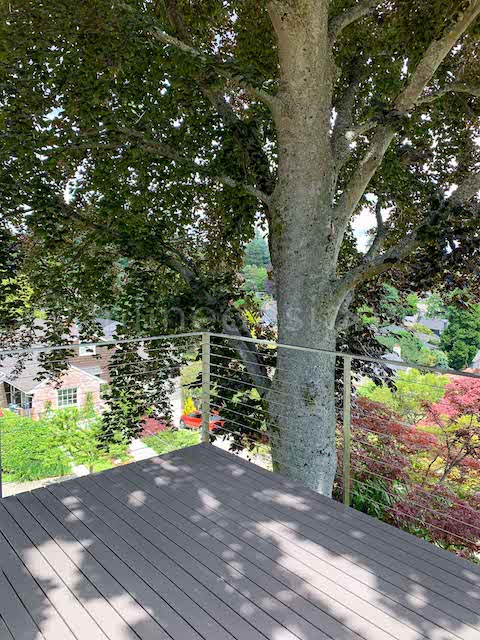 cable railing deck tree